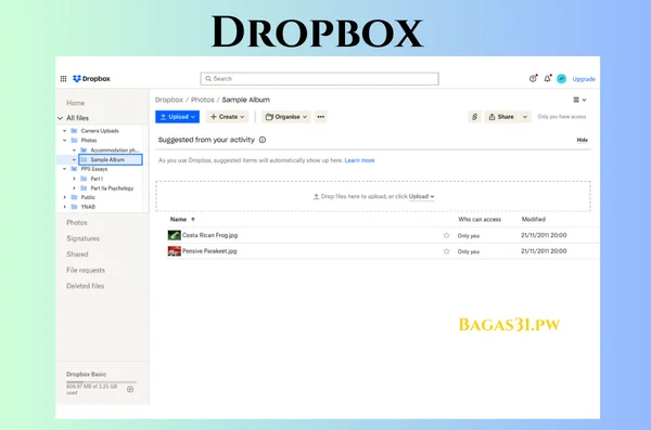 Dropbox Download 2024