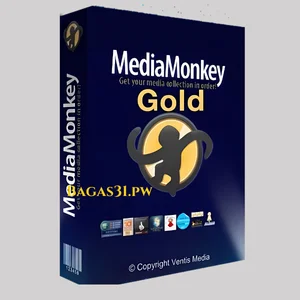 MediaMonkey Gold Download 2024