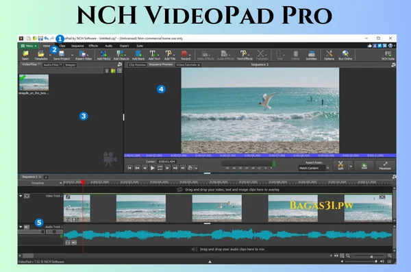 NCH VideoPad Pro Download 2024