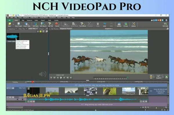 NCH VideoPad Pro Download 2024