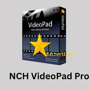 NCH VideoPad Pro Download 2024