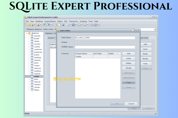 SQLite Expert Professional Download 2024