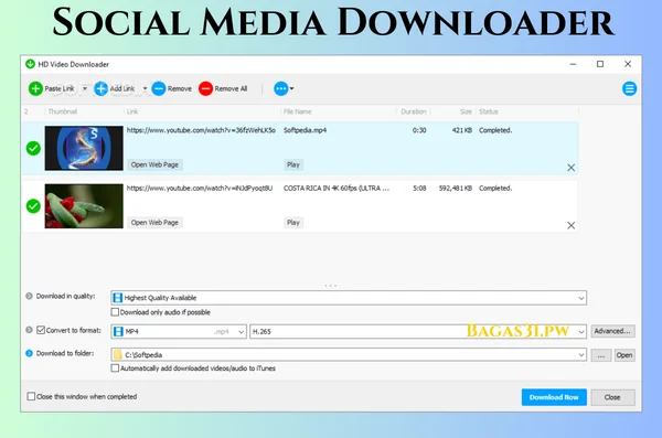 Social Media Downloader Download 2024