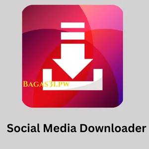 Social Media Downloader Download 2024