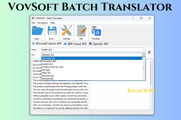 VovSoft Batch Translator Download 2024