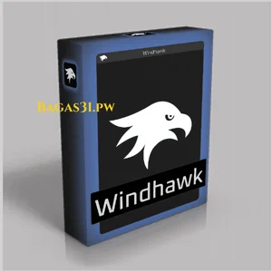 Windhawk Download 2024