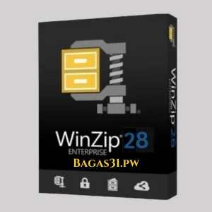 Winzip Pro