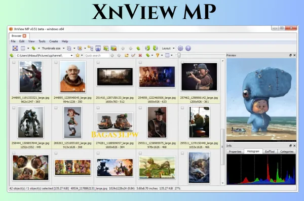 XnView MP Download 2024