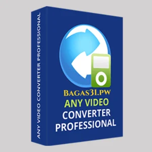 Any Video Converter professional 2024