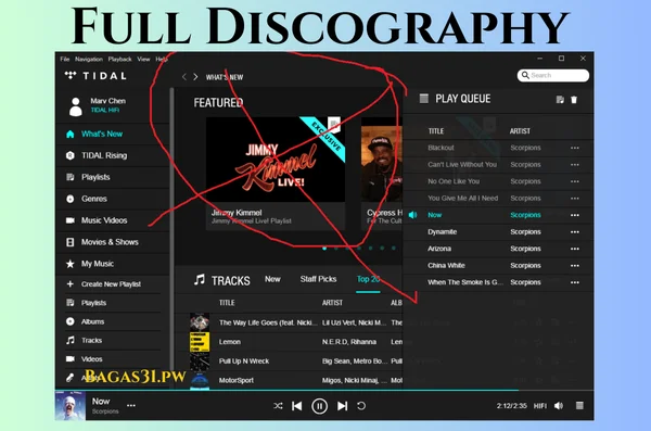 Full Discography Download 2024
