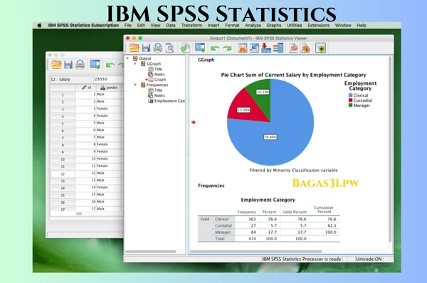 IBM SPSS Statistics Latest Version Download 2024