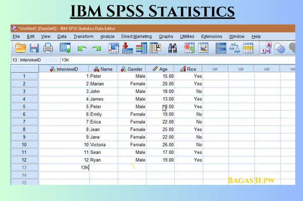 IBM SPSS Statistics Terbaru Download 2024