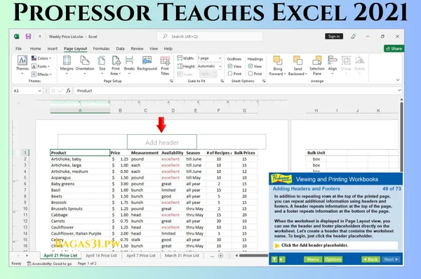 Professor Teaches Excel 2021 Download 2024