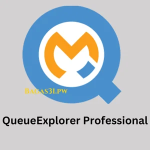 QueueExplorer Professional Download 2024