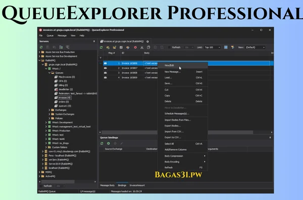 QueueExplorer Professional Download 2024