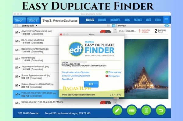 Easy Duplicate Finder Terbaru Download 2024