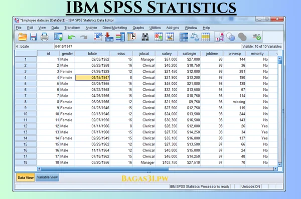 IBM SPSS Statistics Latest Download 2024