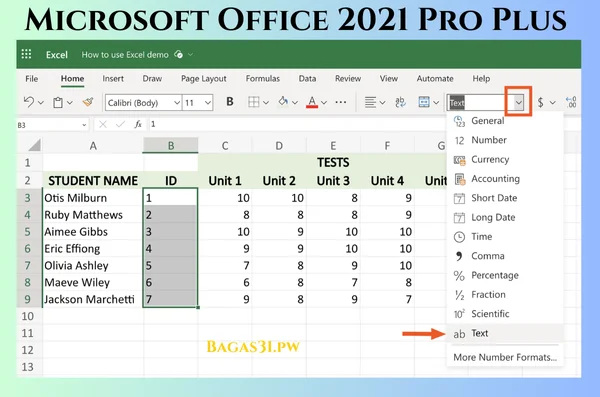 Microsoft Office 2021 Professional Plus Terbaru Download 2024