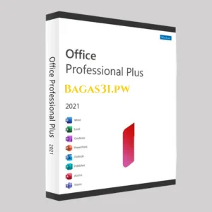 Microsoft Office 2021 Professional Plus