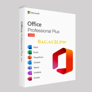 Microsoft Office Professional Plus 2024