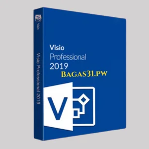 Microsoft Visio 2019 Pro