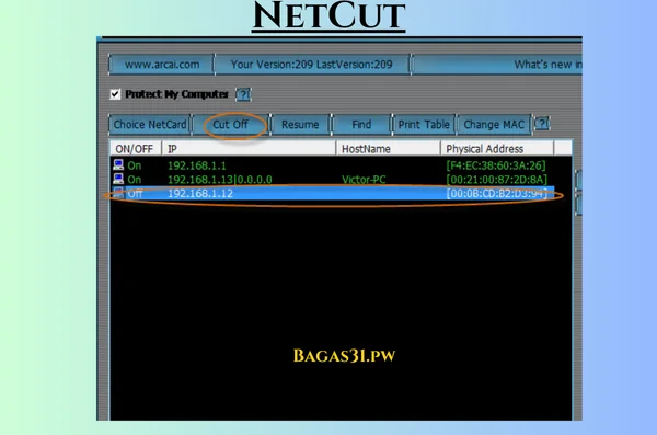 NetCut Latest Download 2024