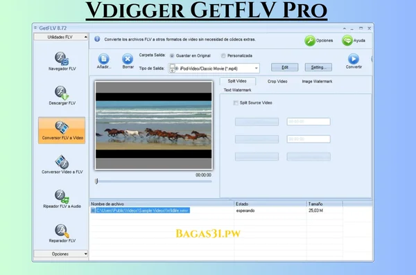 Vdigger GetFLV Pro Downloader Pro Latest Download 2024