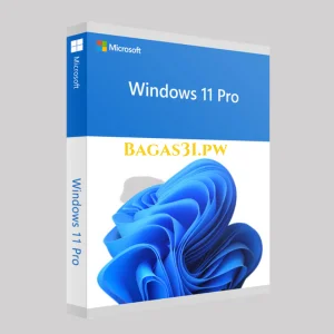 Windows 11 Professional Preactivated