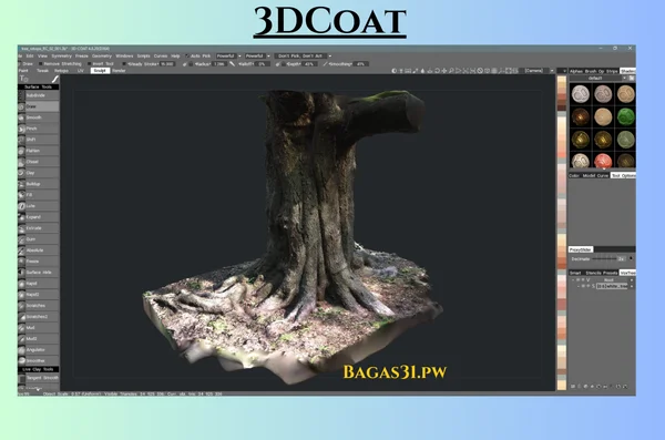 3DCoat Terbaru Download 2024