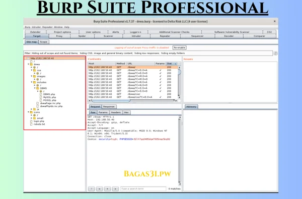 Burp Suite Professional Latest Download 2024