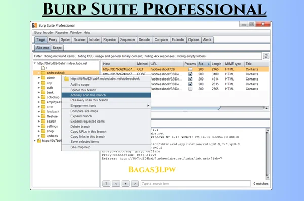 Burp Suite Professional Terbaru Download 2024