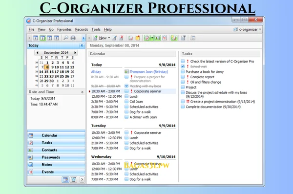 C-Organizer Professional Terbaru Download 2024