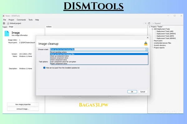 DISMTools Latest Download 2024