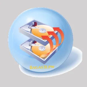 Disk Sorter