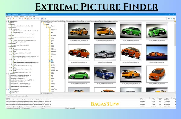 Extreme Picture Finder Latest Download 2024 