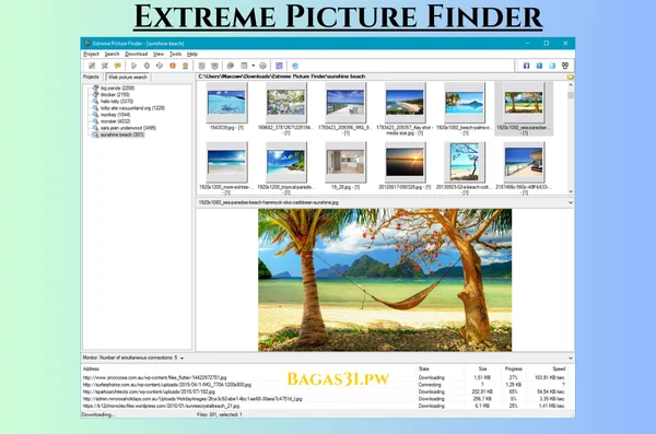 Extreme Picture Finder Terbaru Download 2024