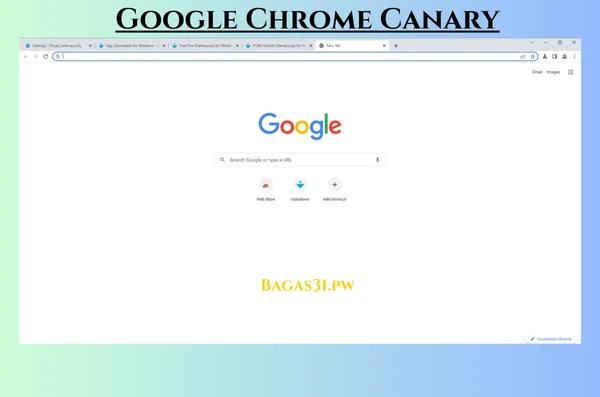 Google Chrome Canary Latest Download 2024