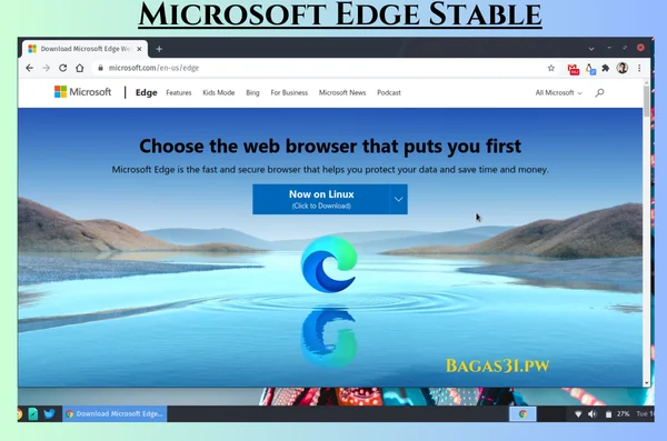 Microsoft Edge Stable Latest Download 2024 