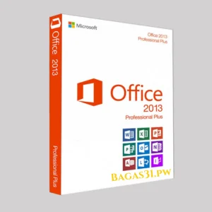 Microsoft Office Professional Plus 2013