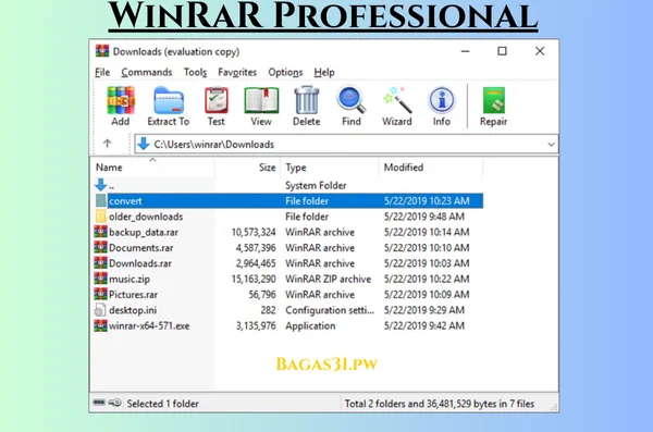 WinRaR Professional Terbaru Download 2024