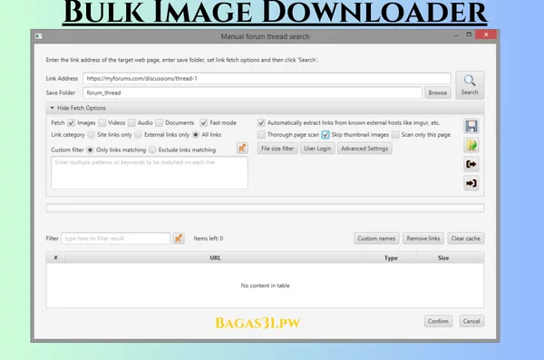 Bulk Image Downloader Latest Download 2024 