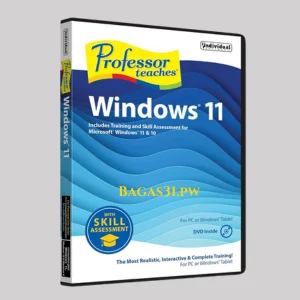 Professor Teaches Windows 11