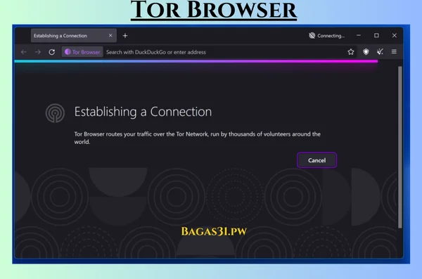 Tor Browser Latest Download 2024