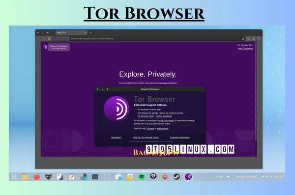 Tor Browser Terbaru Download 2024