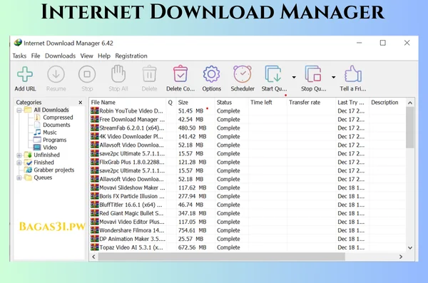 Internet Download Manager Latest Download 2024