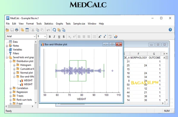IMedCalc Terbaru Version 2025