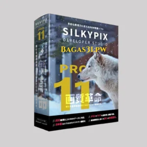 OSILKYPIX Developer Studio Pro Download 2025