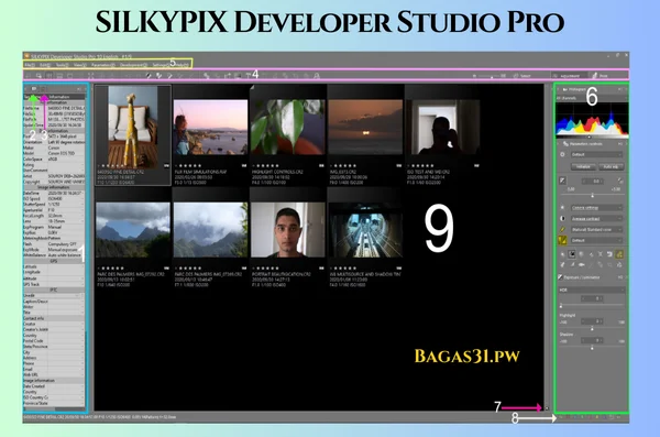 SILKYPIX Developer Studio Pro Terbaru Download 2025