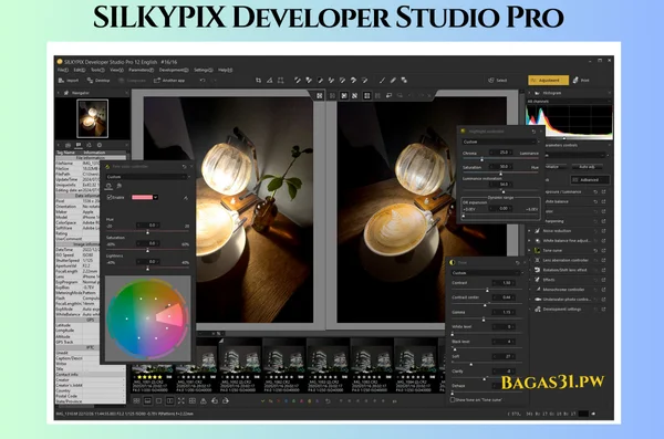 SILKYPIX Developer Studio Pro Terbaru Version 2025