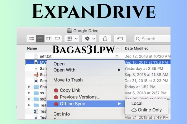 ExpanDrive Full Bagas31